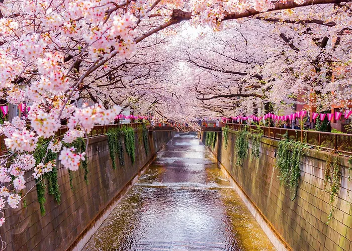 The Westin Tokyo